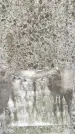 Захоронение ID 1368809