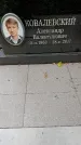 Захоронение ID 1368951