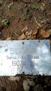 Захоронение ID 1369074