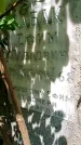 Захоронение ID 1369085