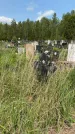 Захоронение ID 1369115