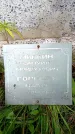Захоронение ID 1369312