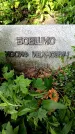 Захоронение ID 1369360