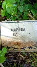 Захоронение ID 1369462