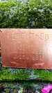 Захоронение ID 1369468