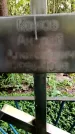 Захоронение ID 1369476
