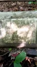 Захоронение ID 1369636