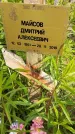 Захоронение ID 1369774