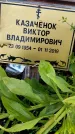 Захоронение ID 1369783