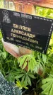 Захоронение ID 1369863