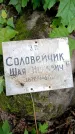 Захоронение ID 1369942