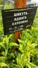 Захоронение ID 1369964