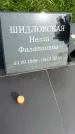 Захоронение ID 1369966