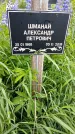 Захоронение ID 1370247