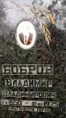 Захоронение ID 1370360