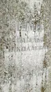 Захоронение ID 1370393