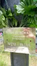Захоронение ID 1370447