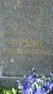 Захоронение ID 1370458