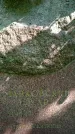 Захоронение ID 1370560