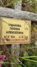 Захоронение ID 1370802