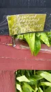 Захоронение ID 1370832