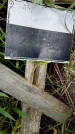 Захоронение ID 1370839