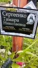 Захоронение ID 1370858