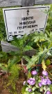 Захоронение ID 1371009