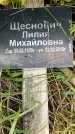 Захоронение ID 1371150