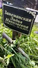 Захоронение ID 1371160