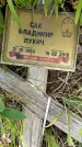Захоронение ID 1371179
