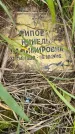 Захоронение ID 1371200