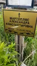 Захоронение ID 1371203