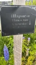 Захоронение ID 1371215