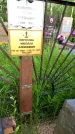 Захоронение ID 1371259
