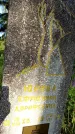 Захоронение ID 1371277