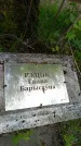 Захоронение ID 1371284