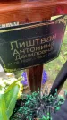 Захоронение ID 1371349