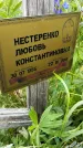 Захоронение ID 1371359