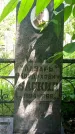 Захоронение ID 1371448