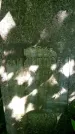 Захоронение ID 1371452