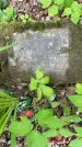Захоронение ID 1371494