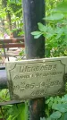 Захоронение ID 1371557