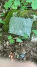 Захоронение ID 1371632