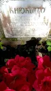 Захоронение ID 1371773