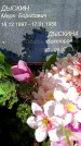 Захоронение ID 1371775