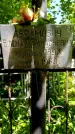 Захоронение ID 1371818