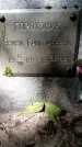 Захоронение ID 1371835