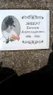 Захоронение ID 1371854