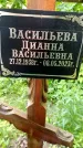 Захоронение ID 1371871